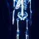 Image for article titled This life-size glass skeleton is illuminated by krypton